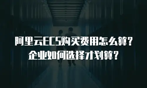 阿里云ECS购买费用怎么算？企业如何选择才划算？