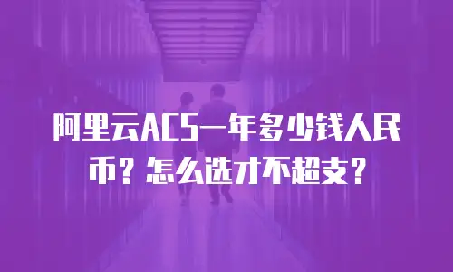 阿里云ACS一年多少钱人民币？怎么选才不超支？