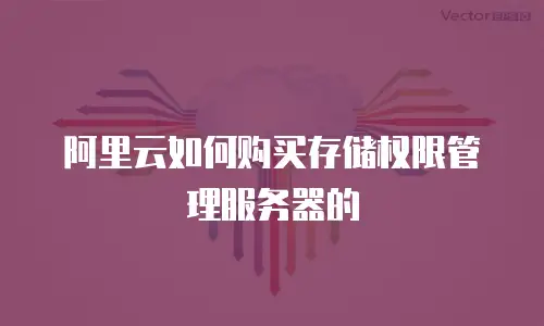 阿里云如何购买存储权限管理服务器的