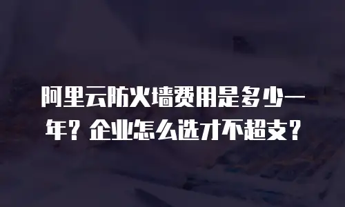 阿里云防火墙费用是多少一年？企业怎么选才不超支？
