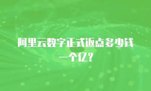 阿里云数字正式返点多少钱一个亿？