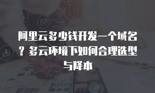 阿里云多少钱开发一个域名？多云环境下如何合理选型与降本