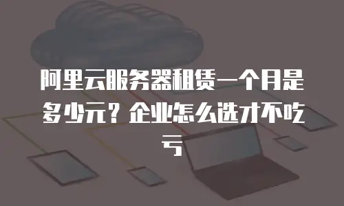 阿里云服务器租赁一个月是多少元？企业怎么选才不吃亏