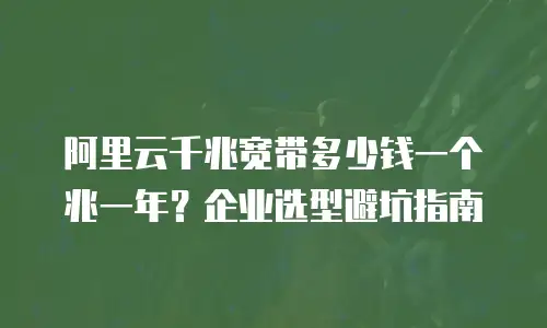 阿里云千兆宽带多少钱一个兆一年？企业选型避坑指南
