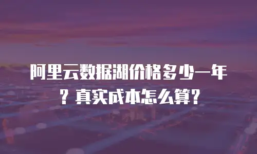 阿里云数据湖价格多少一年？真实成本怎么算？