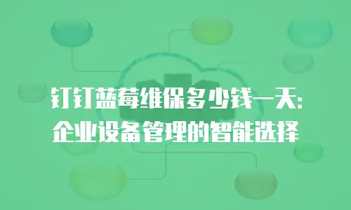 钉钉蓝莓维保多少钱一天：企业设备管理的智能选择