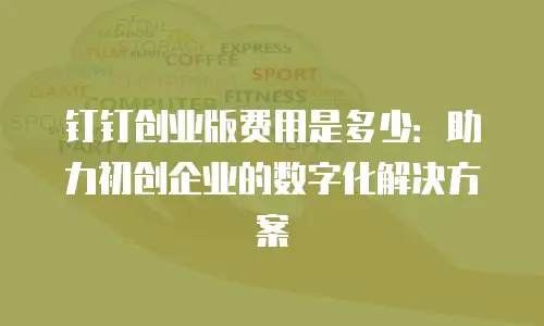 钉钉创业版费用是多少：助力初创企业的数字化解决方案