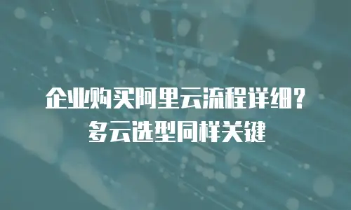 企业购买阿里云流程详细？多云选型同样关键