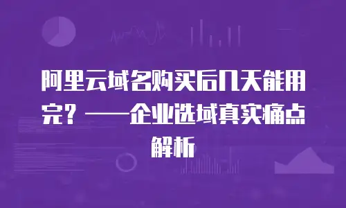 阿里云域名购买后几天能用完？——企业选域真实痛点解析