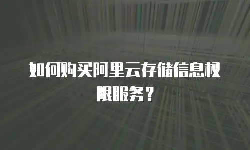 如何购买阿里云存储信息权限服务？