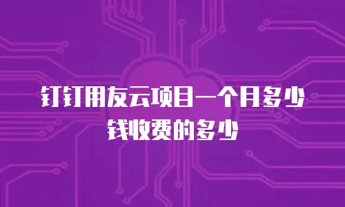钉钉用友云项目一个月多少钱收费的多少