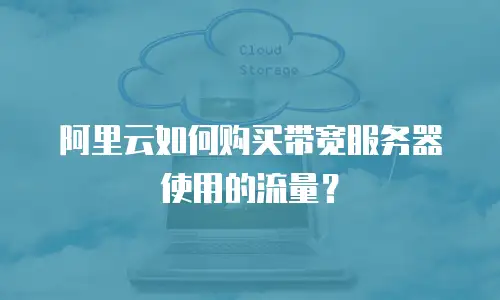 阿里云如何购买带宽服务器使用的流量？