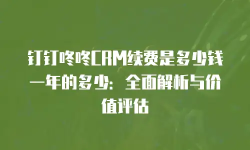 钉钉咚咚CRM续费是多少钱一年的多少：全面解析与价值评估