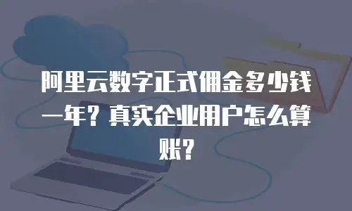 阿里云数字正式佣金多少钱一年？真实企业用户怎么算账？