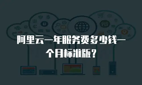 阿里云一年服务费多少钱一个月标准版？