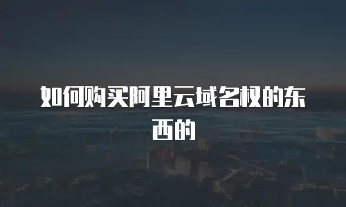 如何购买阿里云域名权的东西的