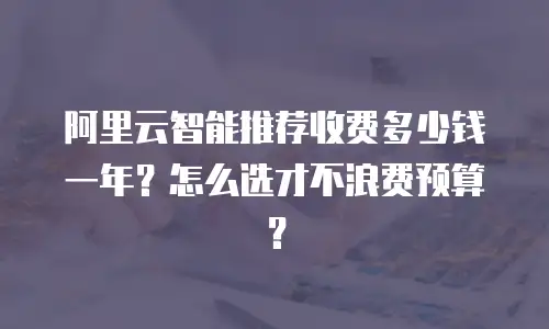 阿里云智能推荐收费多少钱一年？怎么选才不浪费预算？