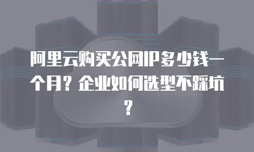 阿里云购买公网IP多少钱一个月？企业如何选型不踩坑？