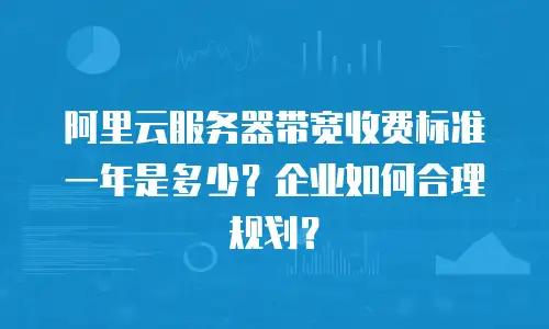 阿里云服务器带宽收费标准一年是多少？企业如何合理规划？