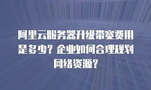 阿里云服务器升级带宽费用是多少？企业如何合理规划网络资源？