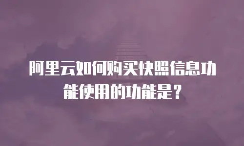 阿里云如何购买快照信息功能使用的功能是？