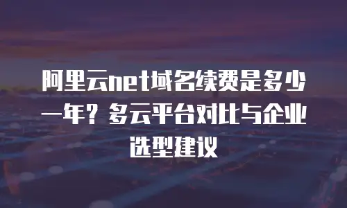 阿里云net域名续费是多少一年？多云平台对比与企业选型建议