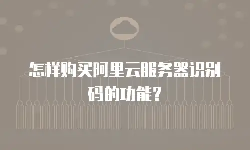 怎样购买阿里云服务器识别码的功能？