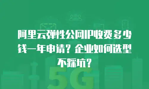 阿里云弹性公网IP收费多少钱一年申请？企业如何选型不踩坑？