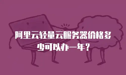 阿里云轻量云服务器价格多少可以办一年？
