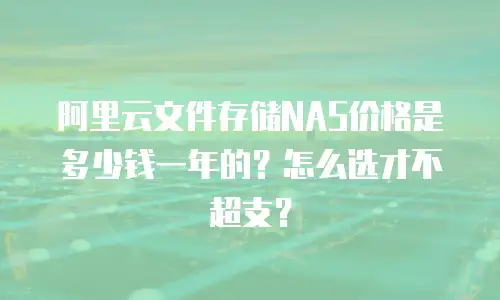 阿里云文件存储NAS价格是多少钱一年的？怎么选才不超支？