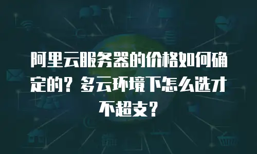 阿里云服务器的价格如何确定的？多云环境下怎么选才不超支？