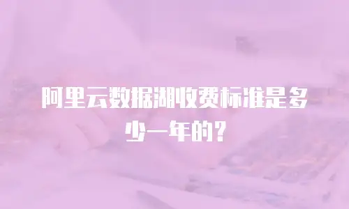 阿里云数据湖收费标准是多少一年的？