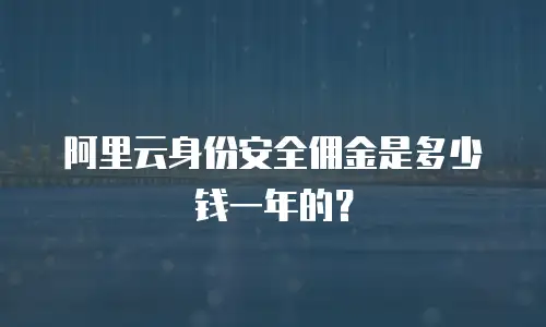 阿里云身份安全佣金是多少钱一年的？