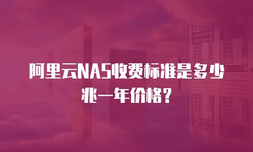 阿里云NAS收费标准是多少兆一年价格？