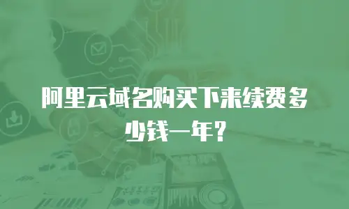 阿里云域名购买下来续费多少钱一年？