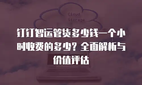 钉钉智运管货多少钱一个小时收费的多少？全面解析与价值评估