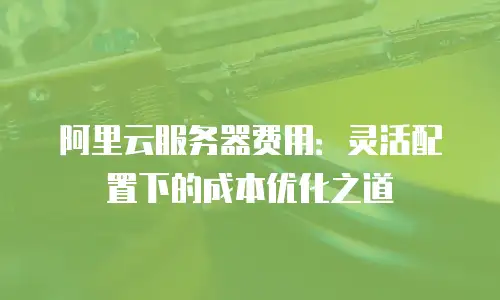 阿里云服务器费用：灵活配置下的成本优化之道