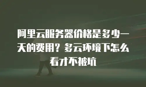 阿里云服务器价格是多少一天的费用？多云环境下怎么看才不被坑