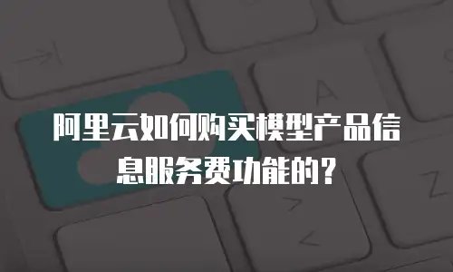 阿里云如何购买模型产品信息服务费功能的？