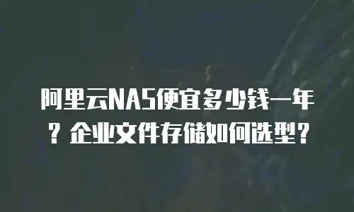 阿里云NAS便宜多少钱一年？企业文件存储如何选型？