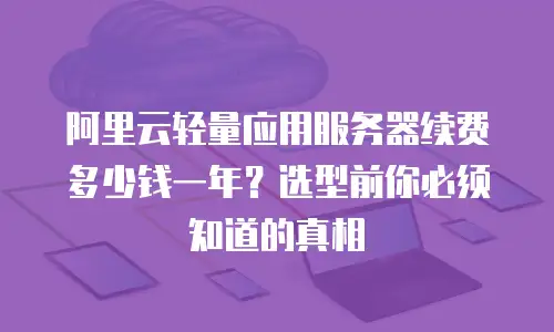 阿里云轻量应用服务器续费多少钱一年？选型前你必须知道的真相