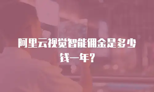 阿里云视觉智能佣金是多少钱一年？