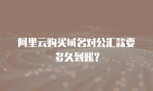 阿里云购买域名对公汇款要多久到账？