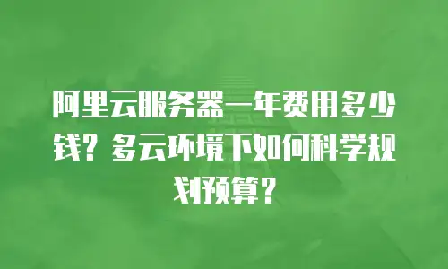阿里云服务器一年费用多少钱？多云环境下如何科学规划预算？