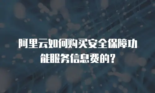 阿里云如何购买安全保障功能服务信息费的？