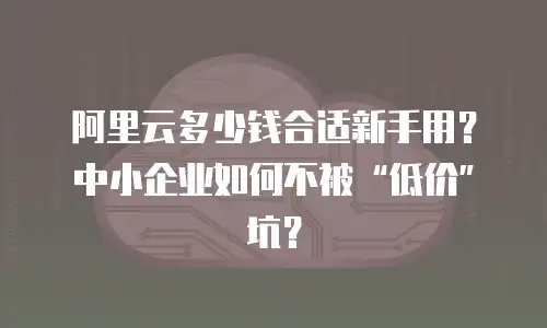 阿里云多少钱合适新手用？中小企业如何不被&ldquo;低价&rdquo;坑？