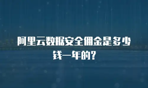 阿里云数据安全佣金是多少钱一年的？