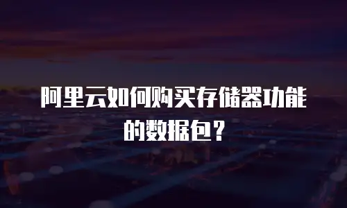 阿里云如何购买存储器功能的数据包？