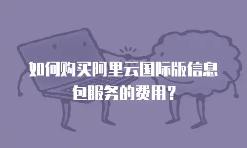 如何购买阿里云国际版信息包服务的费用？