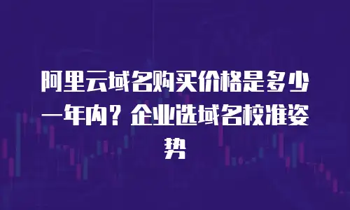 阿里云域名购买价格是多少一年内？企业选域名校准姿势